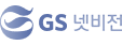 GS Netvision